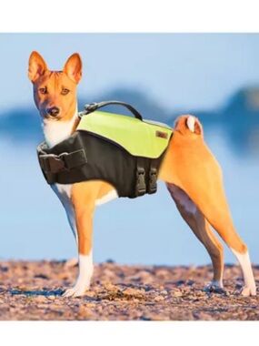 Kong Dog Life Jacket with Top Handle